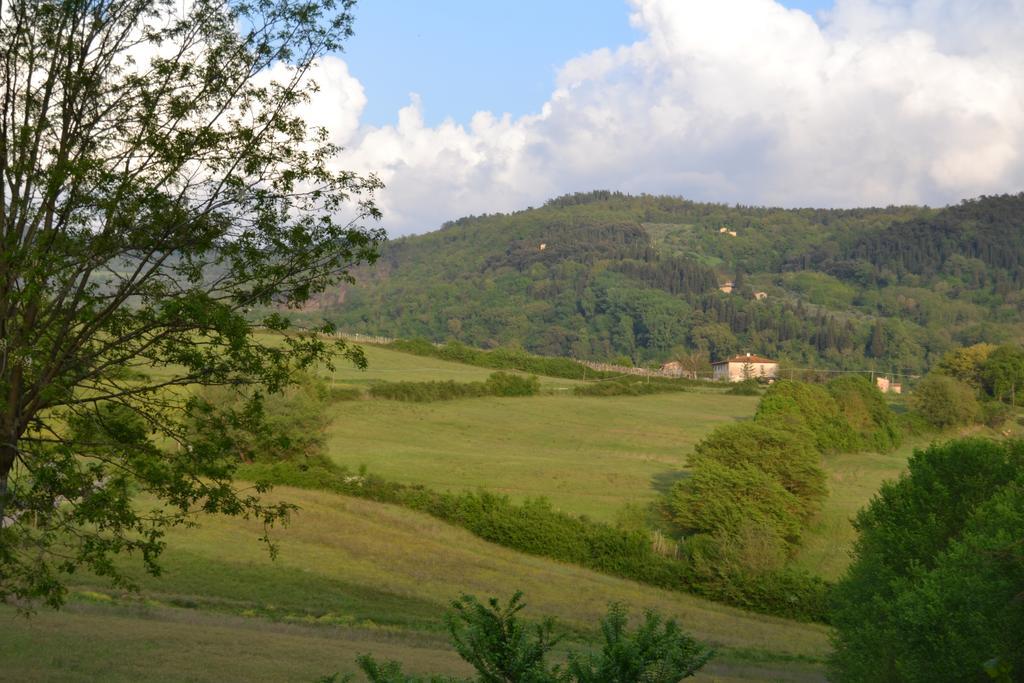 B&B Villa Il Poggiolino Molino del Piano Luaran gambar