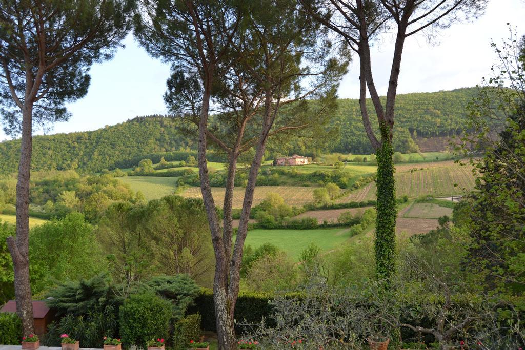 B&B Villa Il Poggiolino Molino del Piano Luaran gambar
